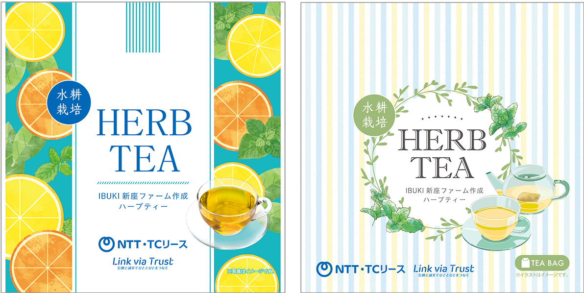 IBUKI新座ファームで栽培したハーブで作ったハーブティーの商品画像